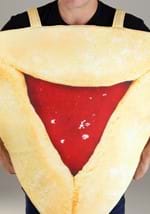 Adult Hamantash Costume Alt 1