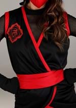 Stealth Ninja Costume Alt 3