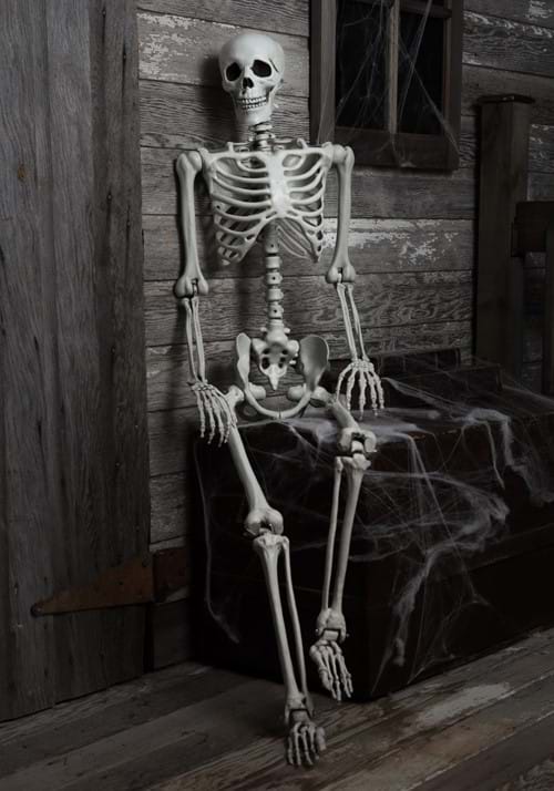 5 Ft Posable Skeleton