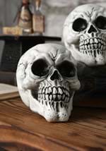 3-Pack of Large Skulls (CY21082) Alt 1