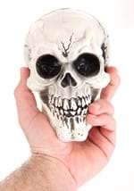 3-Pack of Large Skulls (CY21082) Alt 2