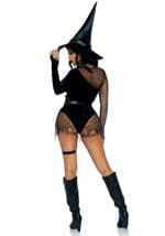 Sexy Crafty Witch Women's Costume Alt 3