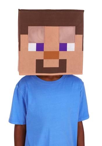 Minecraft Steve Block Head