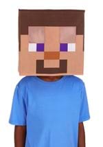 Minecraft Steve Block Head