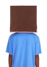 Minecraft Steve Block Head Alt 1