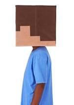 Minecraft Steve Block Head Alt 2