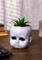 Distressed Doll Succulent