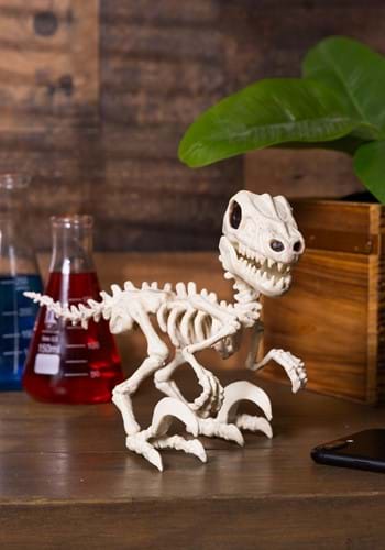 5 5 Raptor Crazy Bonez