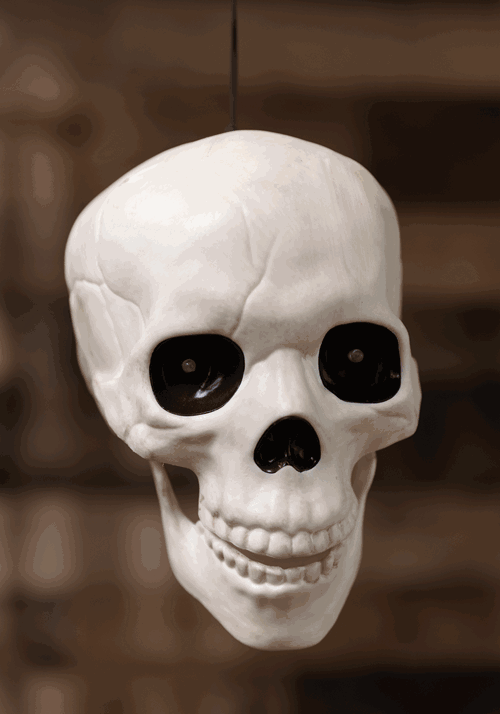 Glow in the Dark Talking Skull