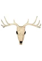 21" Buck Skull Alt 1