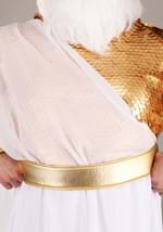 Plus Size Deluxe Zeus Costume Alt 3