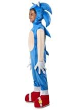 Boys Sonic the Hedgehog Deluxe Costume Alt 2