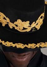 Zorro Hat Accessory Alt 1