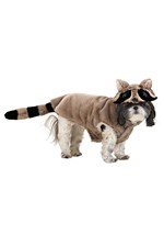 Raccoon Dog Costume Alt 1