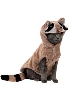 Raccoon Dog Costume Alt 3