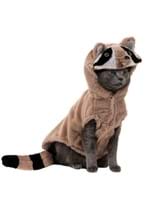 Raccoon Dog Costume Alt 2
