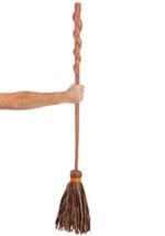 Spiral Witch Broom Costume Accessory Alt 1