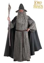 Adult Gandalf Lord of the Rings Costume Alt 9
