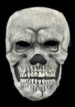 Classic Adult Skull Mask-0