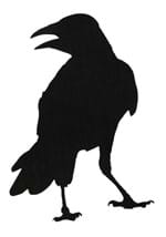 Crow Stickers - 12pcs Alt 5