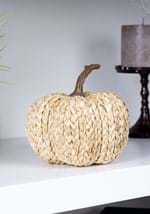 Cornpeel Pumpkin White