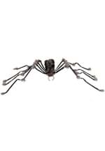 Large spider hairy grey Alt 4