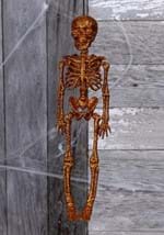 Glittering skeleton orange
