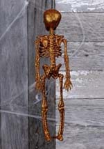 Glittering skeleton orange Alt 2
