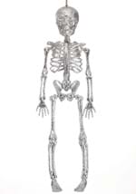 Glitter Skeleton silver  Alt 2