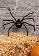 Spider black widow