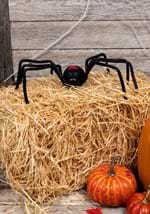 Spider black widow Alt 1