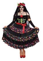 Women's Plus Size Lady of the Dead Costume