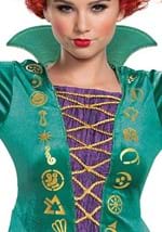 Womens Hocus Pocus Deluxe Wini Costume Alt 3
