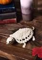 8 Inch Skeleton Turtle