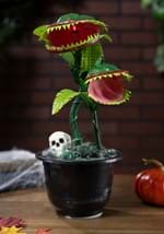 Dancing Corpse Flower Alt 2