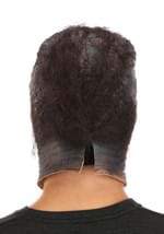 Chamberlain Dark Crystal Mask Alt 2