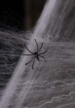 White Spider Web Decoration Alt 3