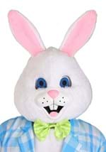 Adult Deluxe Easter Bunny Mascot Costume