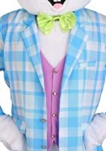 Adult Deluxe Easter Bunny Mascot Costume
