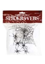 White Spider Web Decoration Alt 1