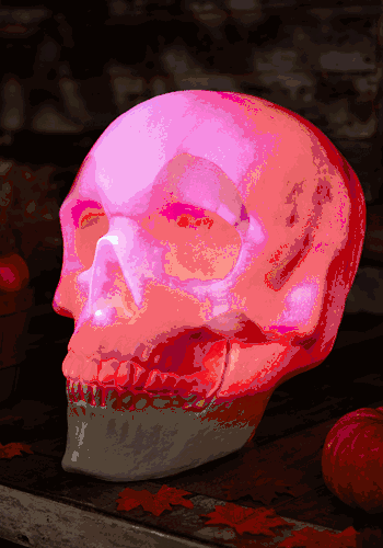 Oversized Skull Lantern Decoration