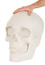 Oversized Skull Lantern Decoration Alt 11