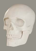 Oversized Skull Lantern Decoration Alt 12