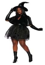 Womens Plus Vintage Witch Costume