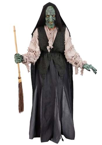 Adult Premium Witch Costume
