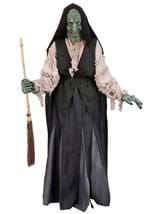 Adult Premium Witch Costume