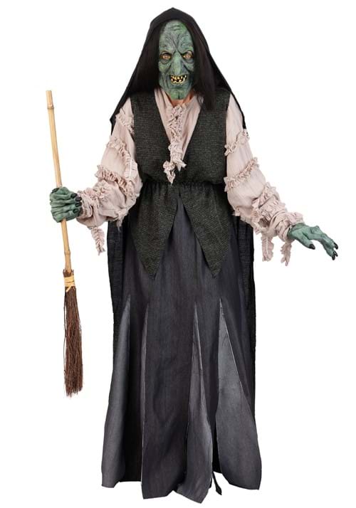 Adult Premium Witch Costume