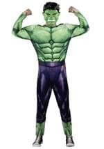 Adult Hulk Costume (Qualux) Alt 1