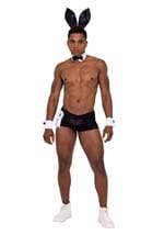 Playboy Mens Hunky Playmate Costume