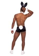 Playboy Mens Hunky Playmate Costume Alt 1